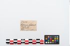 Etikett zu Bronzemehrkopfnadel (NHMW-PRAE-024518)